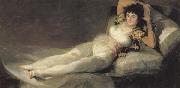 Francisco de goya y Lucientes The Maja Clothed oil painting reproduction